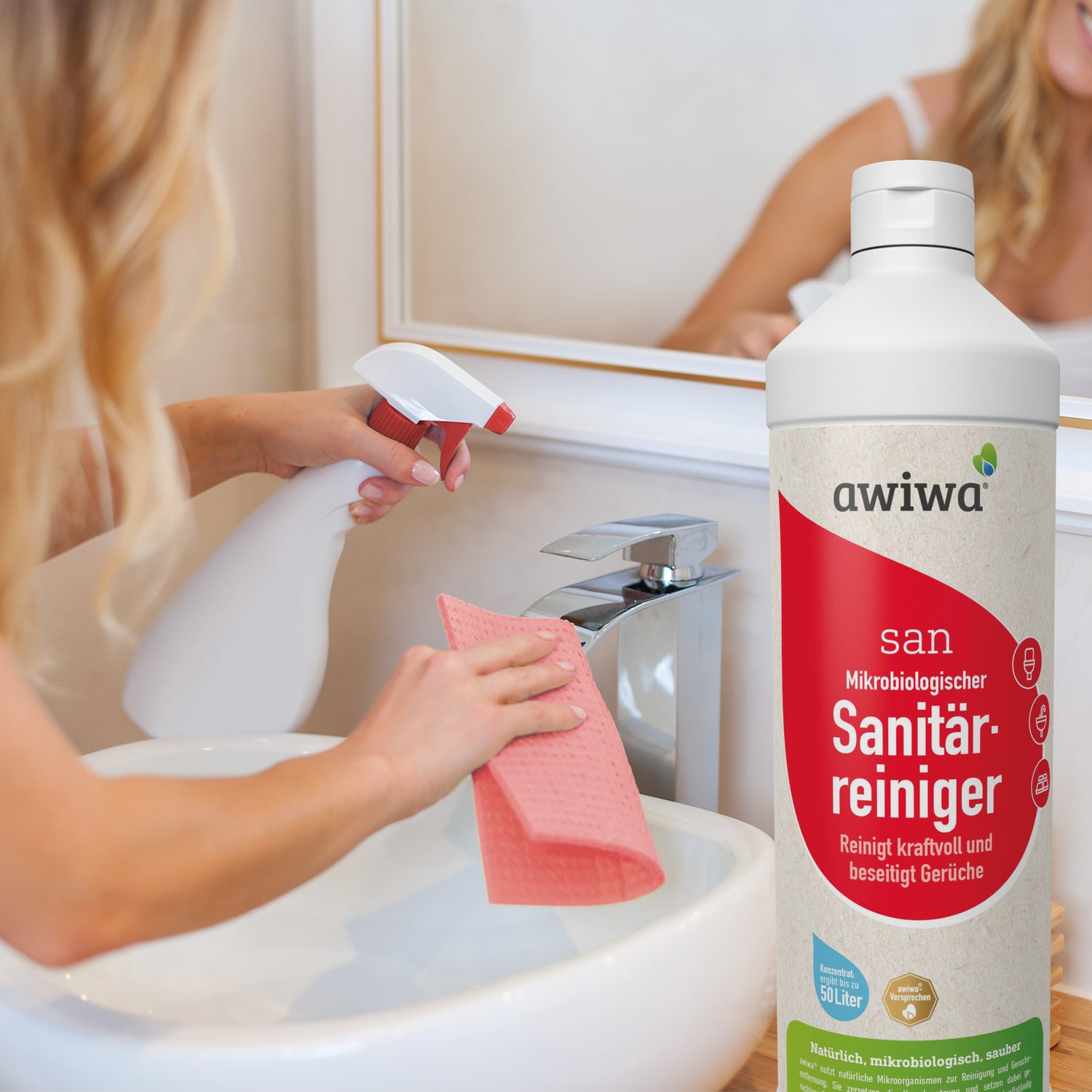 Sanitärreiniger 24
