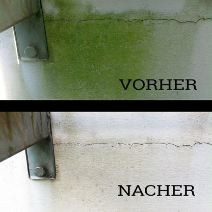 moosentferner Grünbelagentferner Terassenreiniger 1