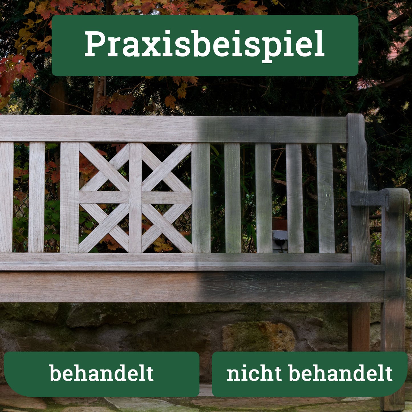 moosentferner Grünbelagentferner Terassenreiniger 4