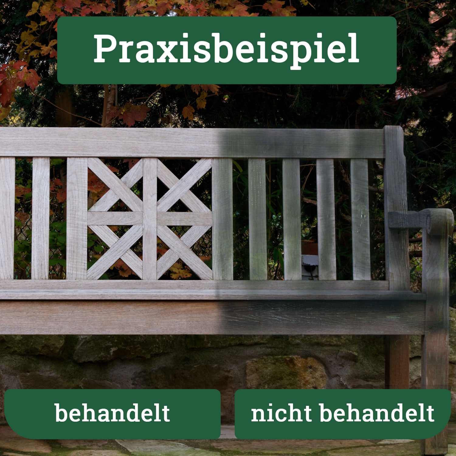 moosentferner Grünbelagentferner Terassenreiniger 4