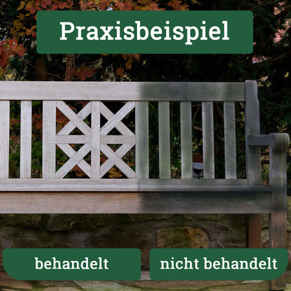 moosentferner Grünbelagentferner Terassenreiniger 4