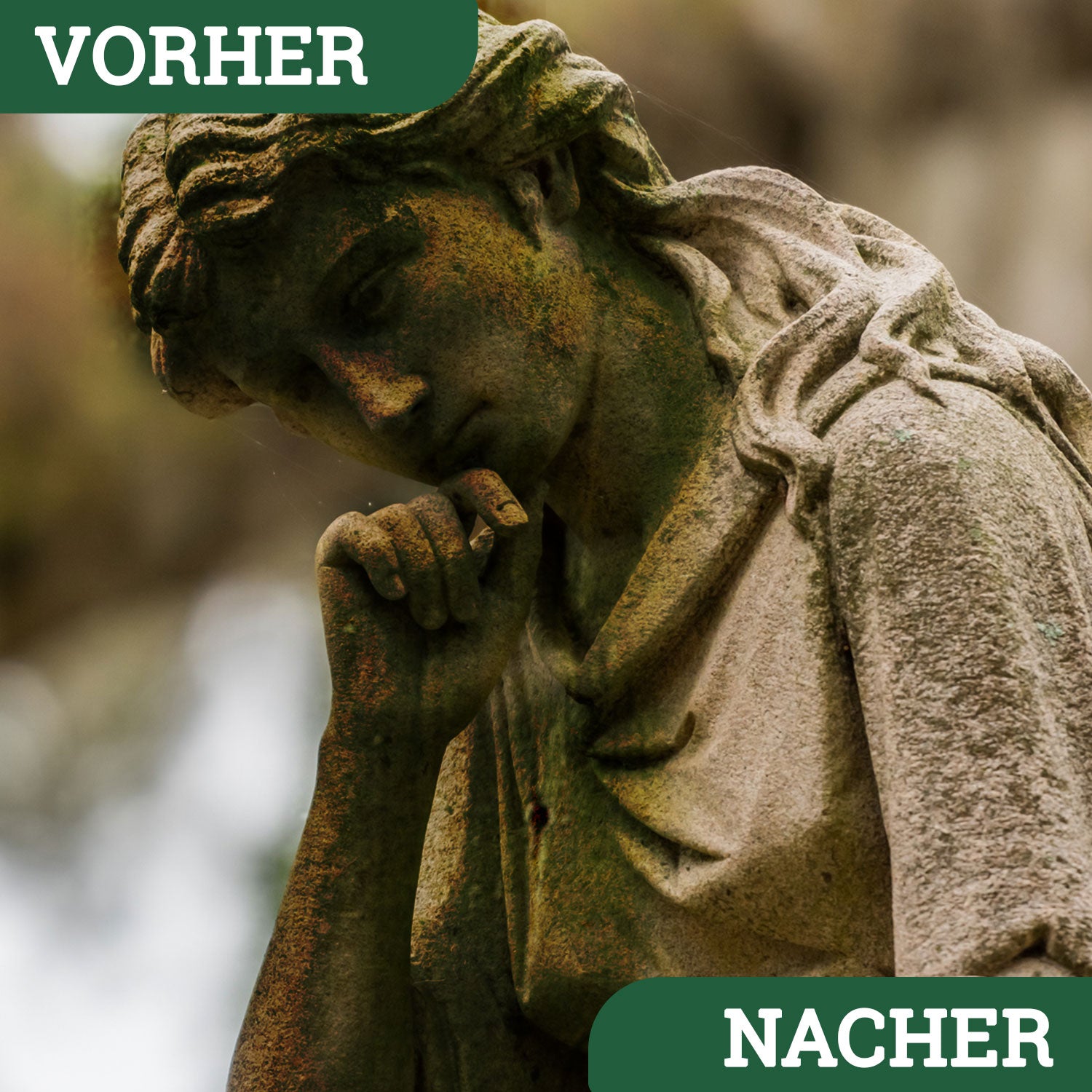 moosentferner Grünbelagentferner Terassenreiniger