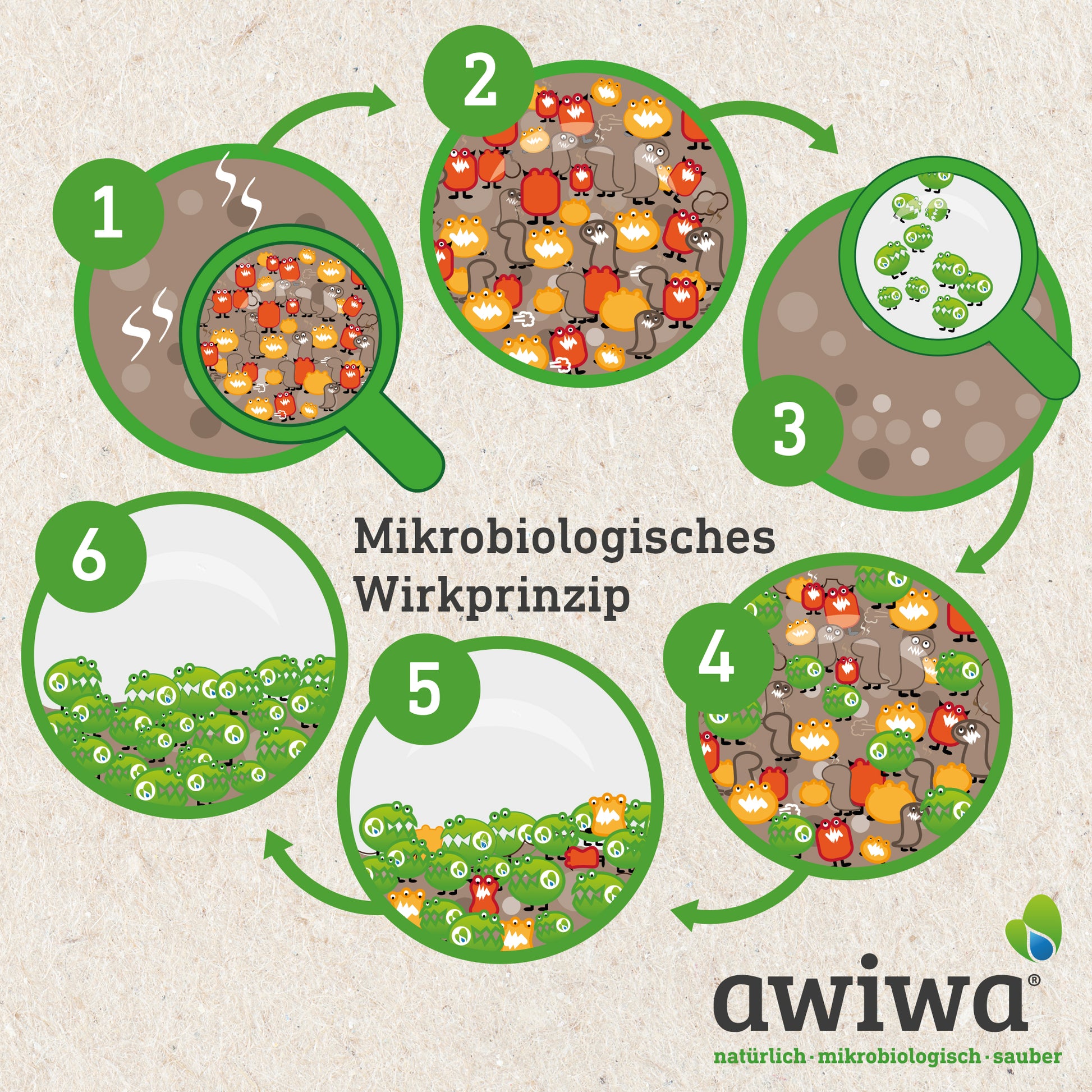 awiwa_mikrobiologie_detail_biopuro