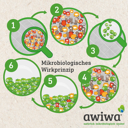 awiwa_mikrobiologie_detail_live