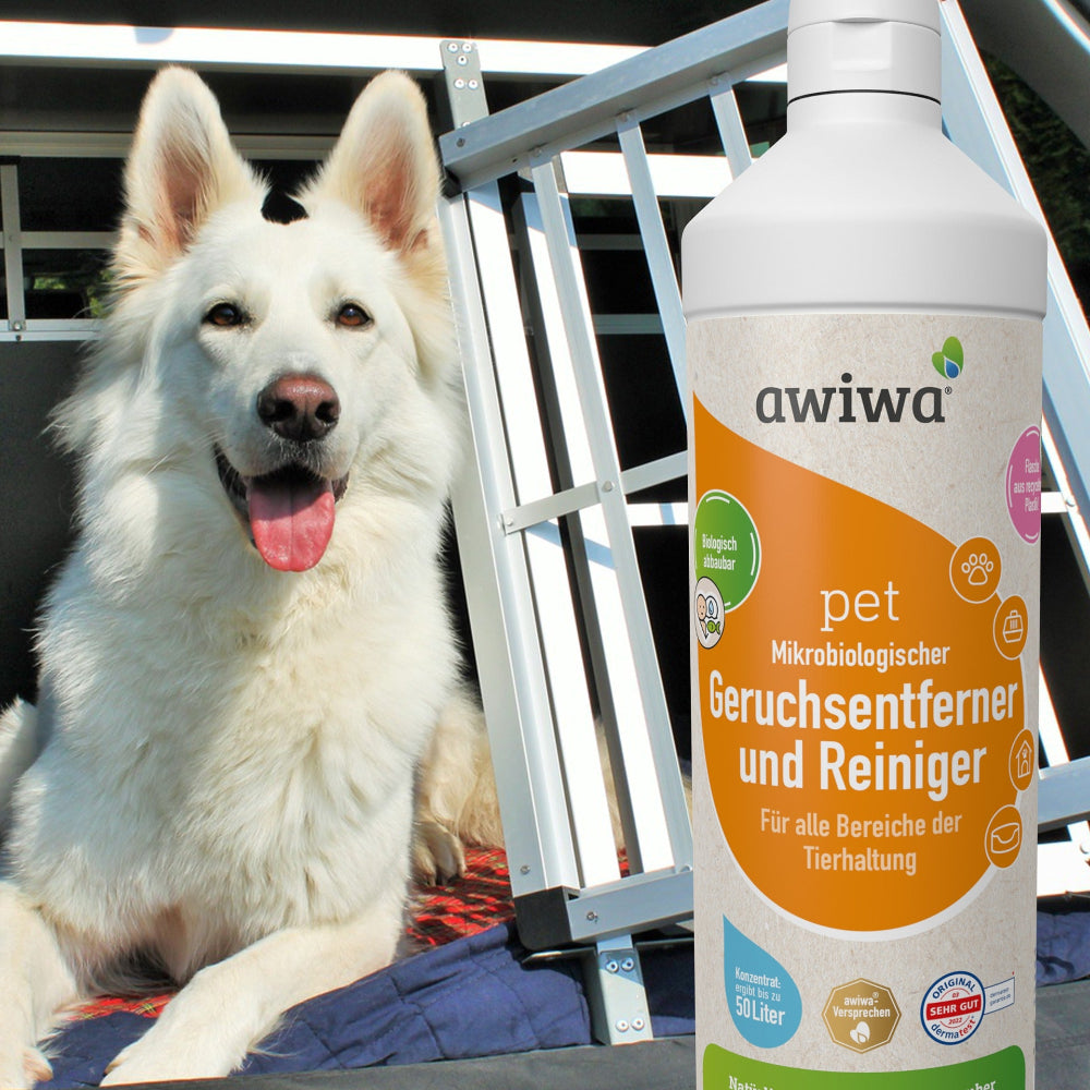 Geruchsentferner Reiniger Hund im Auto