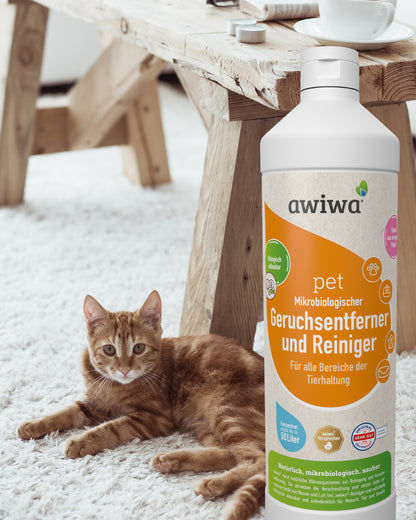 geruchsentferner_reiniger_katze
