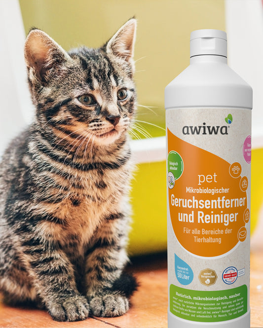 geruchsentferner_reiniger_katzenklo
