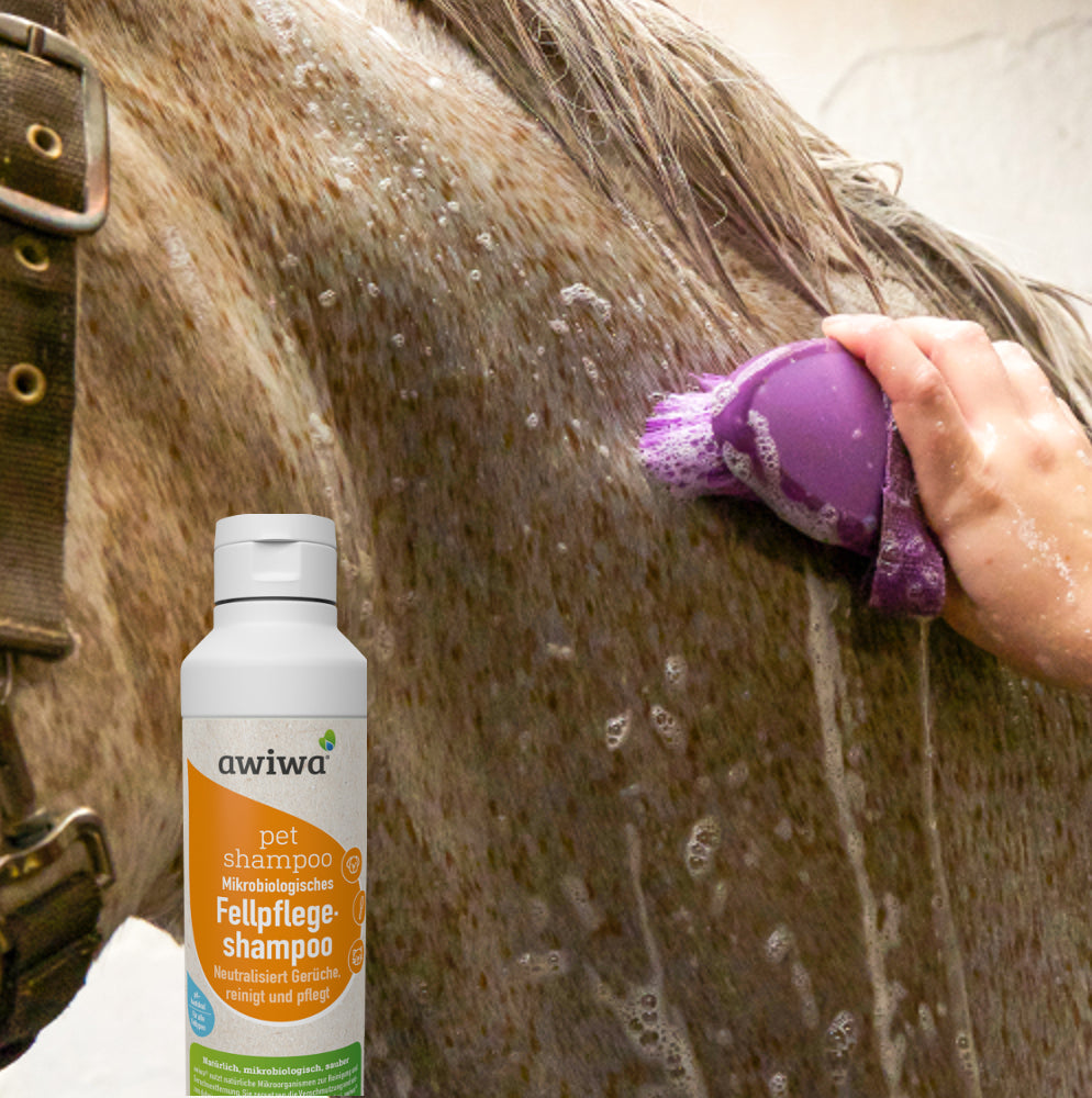 tiershampoo shampoo