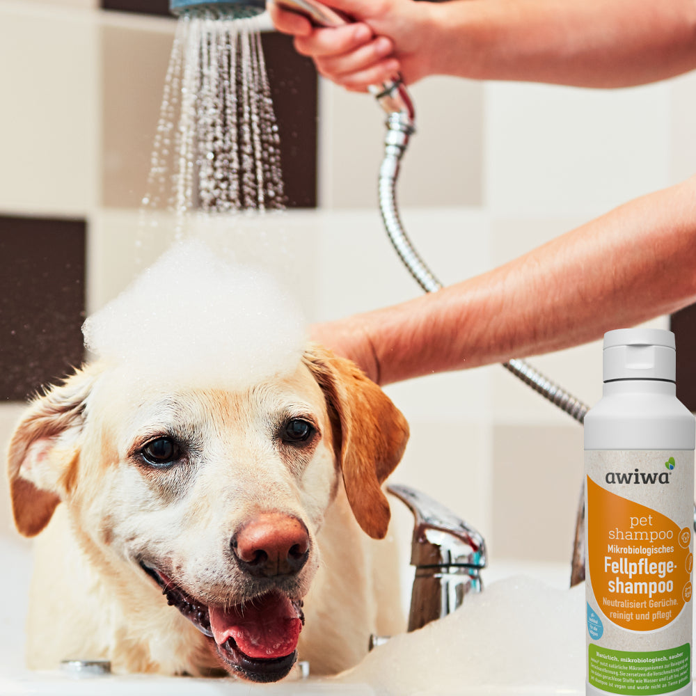 tiershampoo shampoo 2